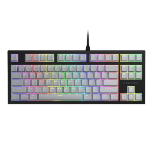 Клавиатура Hator Skyfall TKL Pro ENG/RUS/RUS (HTK-655) Black Клавиатура Hator Skyfall TKL Pro ENG/RUS/RUS (HTK-655) Black