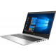 HP ProBook 455 G7 (7JN01AV_V4) FullHD Silver