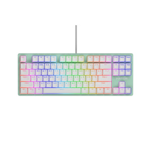Клавиатура Hator Rockfall 2 Mecha TKL Orange Mint (HTK-723) Клавиатура Hator Rockfall 2 Mecha TKL Orange Mint (HTK-723)