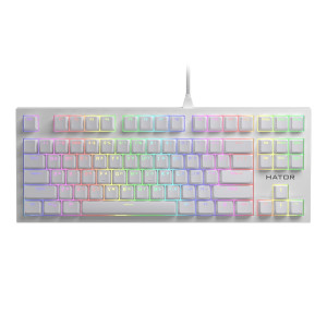 Клавиатура Hator Skyfall TKL Pro ENG/RUS/RUS (HTK-656) White Клавиатура Hator Skyfall TKL Pro ENG/RUS/RUS (HTK-656) White
