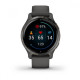Смарт-часы Garmin Venu 2S Slate Bezel + Graphite (010-02429-10)
