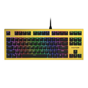 Клавиатура Hator Skyfall TKL Pro ENG/RUS/RUS (HTK-657) Yellow Клавиатура Hator Skyfall TKL Pro ENG/RUS/RUS (HTK-657) Yellow