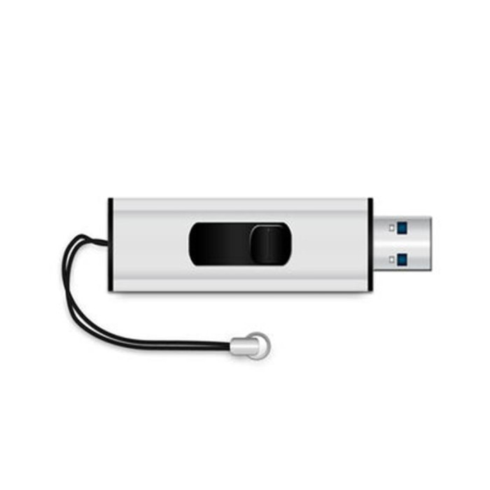Флеш-накопичувач USB3.0 256GB Type-C MediaRange Black/Silver (MR919)