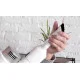 Пылесос Cecotec Conga RockStar 200 Vital CCTC-05498 (8435484054980)