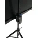 Экран на тренозе Elite Screens 100" (203.2x152.4, 1:1) (T100UWV1)