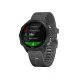 Смарт-часы Garmin Forerunner 245 Black/Slate (010-02120-10)