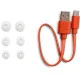 Bluetooth-гарнітура JBL Wave Buds White (JBLWBUDSWHT)