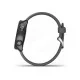 Смарт-часы Garmin Forerunner 245 Black/Slate (010-02120-10)
