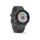 Смарт-часы Garmin Forerunner 245 Black/Slate (010-02120-10)