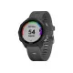 Смарт-часы Garmin Forerunner 245 Black/Slate (010-02120-10)