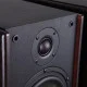 Акустична система Microlab Solo-9C Wood + ДУ