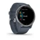 Смарт-часы Garmin Venu 2 Blue Granite + Passivated (010-02430-10)