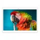 Планшет Alldocube X Neo New 4/64GB 4G Dual Sim White (XNEO-T1009/AC-102399/102399)