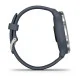 Смарт-часы Garmin Venu 2 Blue Granite + Passivated (010-02430-10)